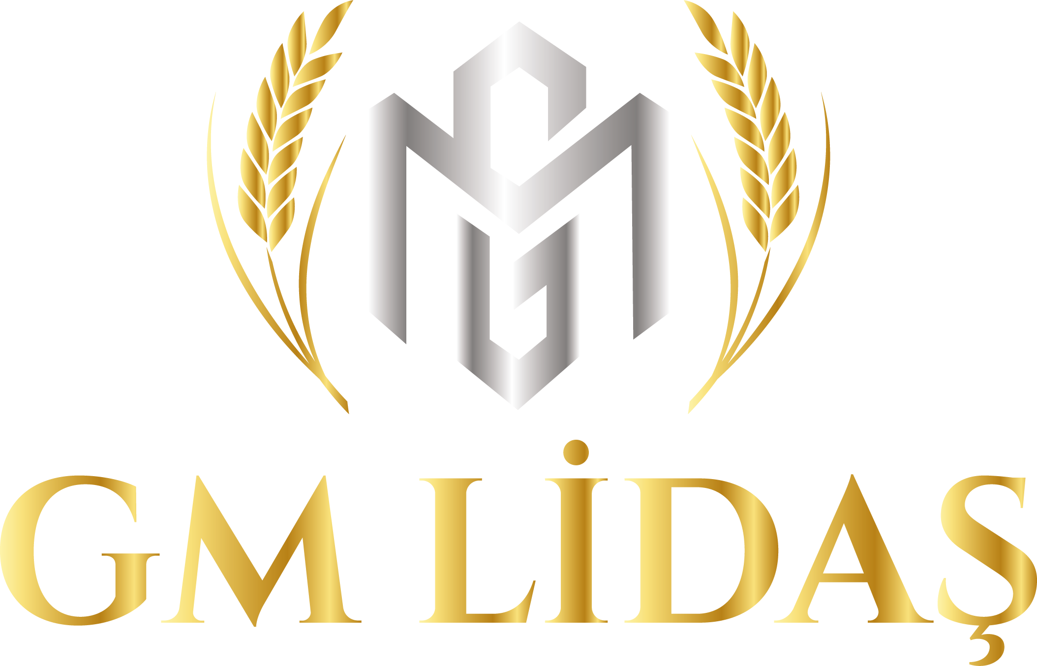 GMLIDAS logo